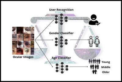 Probing Fairness of Ocular Biometrics Methods Across Demographic Variations
