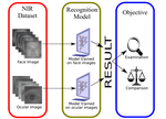 An Examination and Comparison of Fairness of Face and Ocular Recognition Across Gender at NIR Spectrum