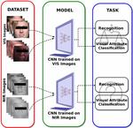 Is Facial Recognition Biased at Near-Infrared Spectrum as Well?