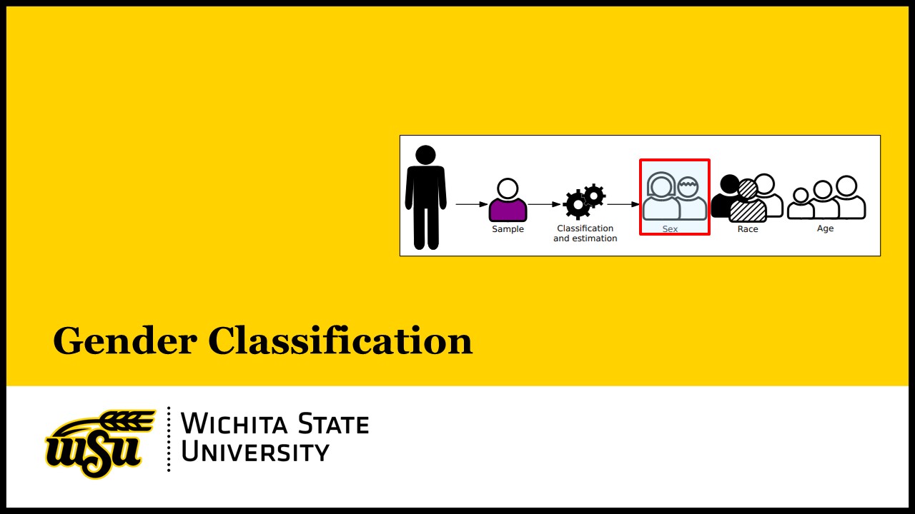 Gender Classification